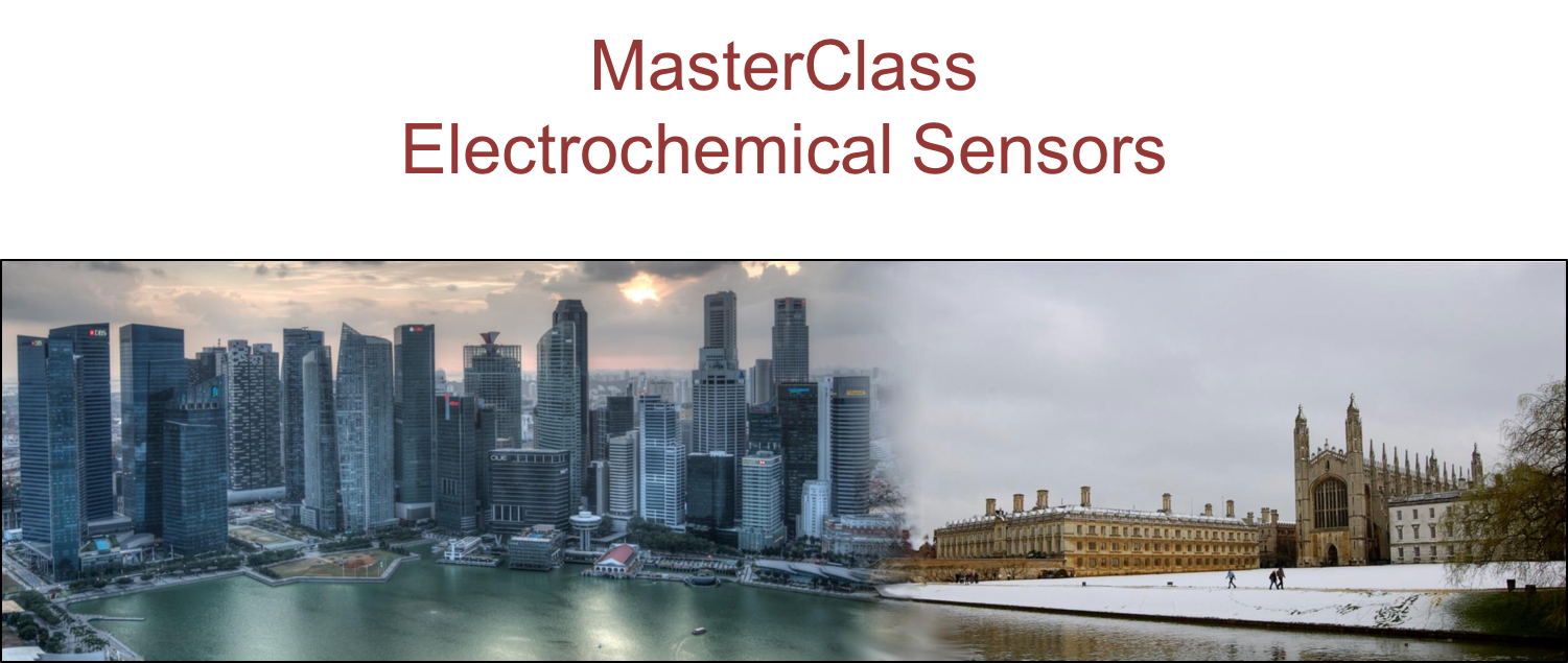 Electrochemical Masterclasses Images 1 Electrochemical Masterclasses